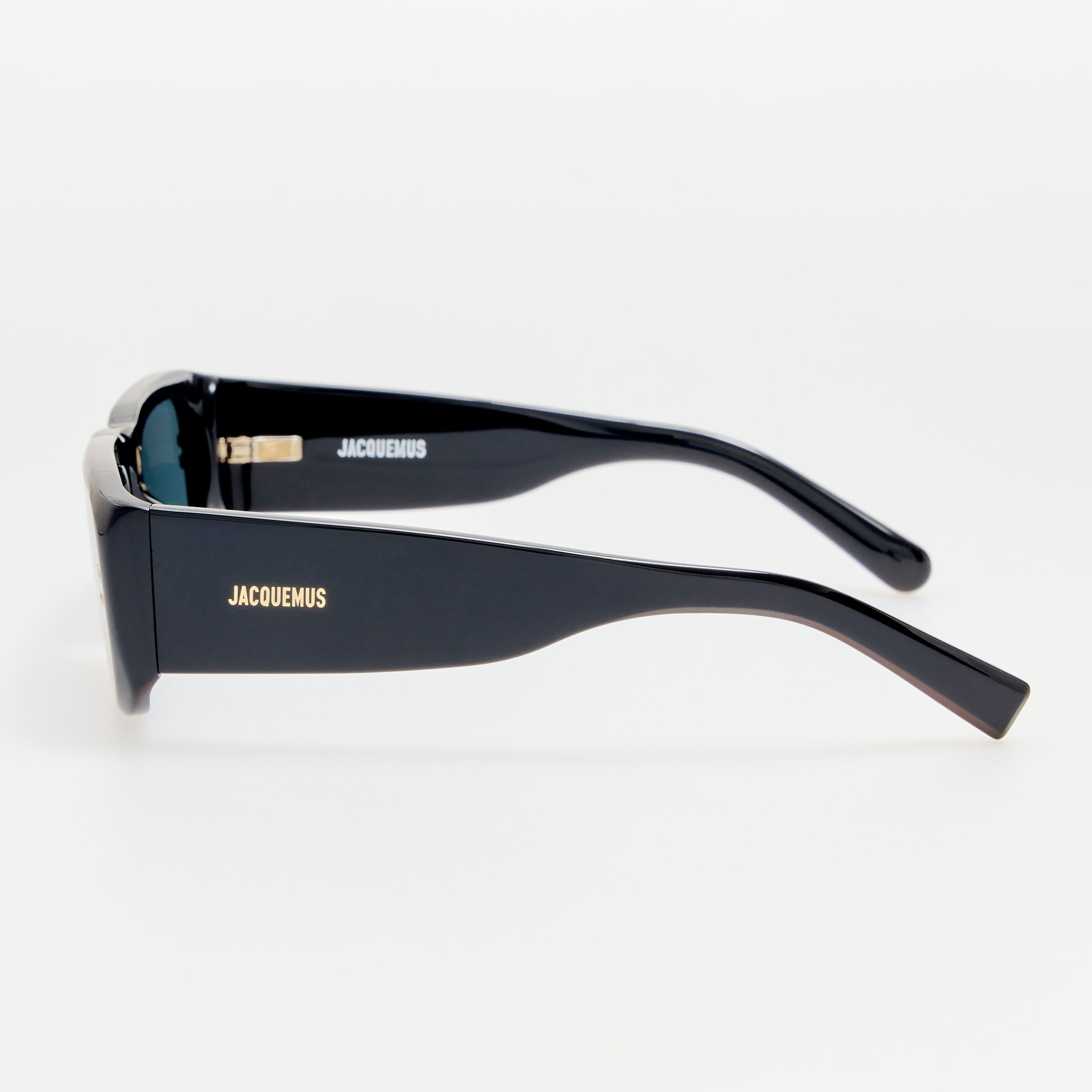 Pisco Sunglasses in Black