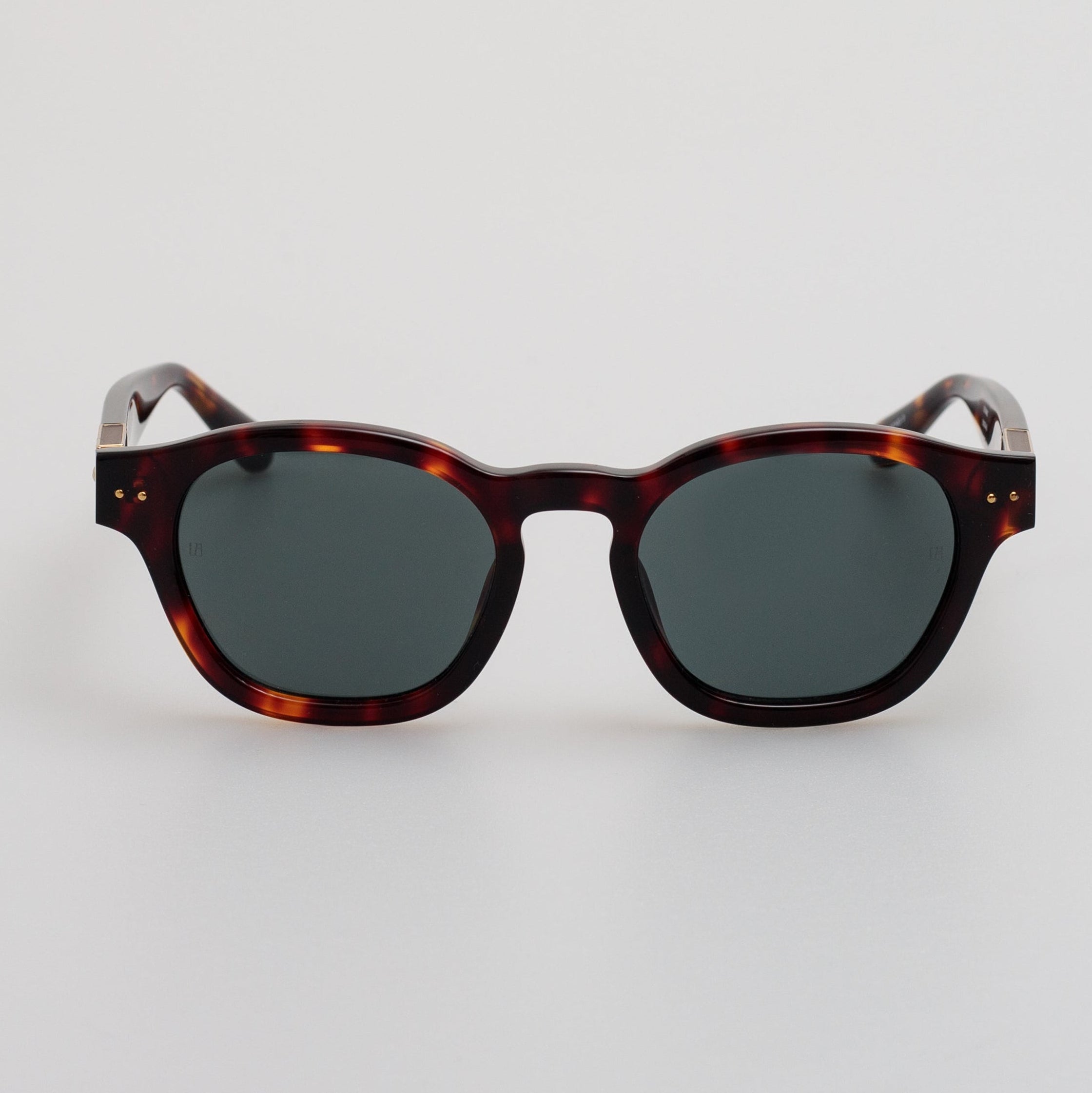 Talbot Sunglasses in Tortoiseshell