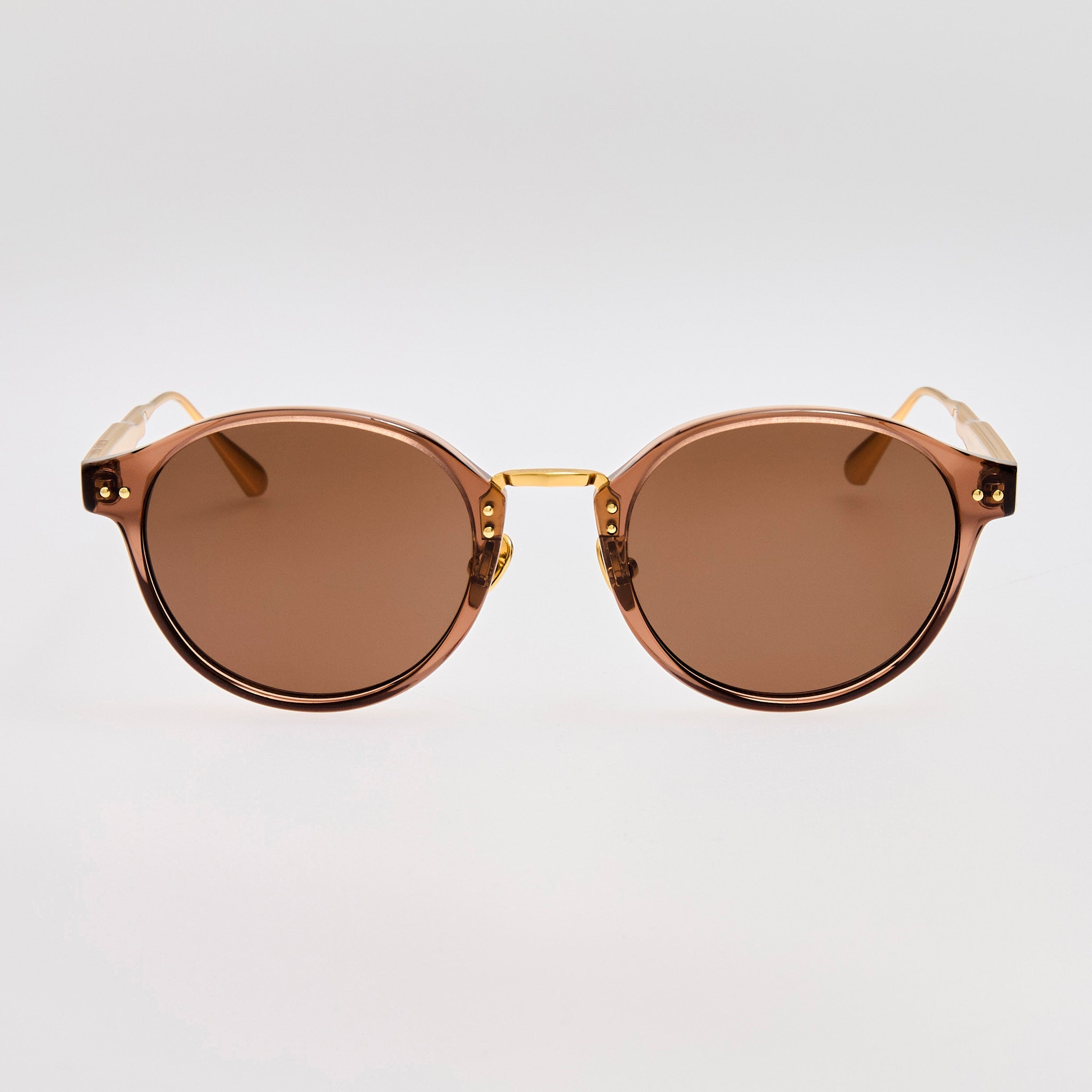 Marco Sunglasses in Brown