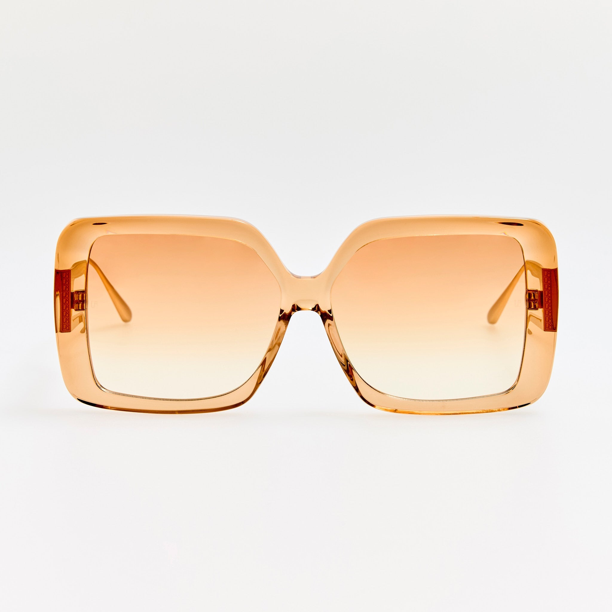 Macy Vista Temple Sunglasses in Honey