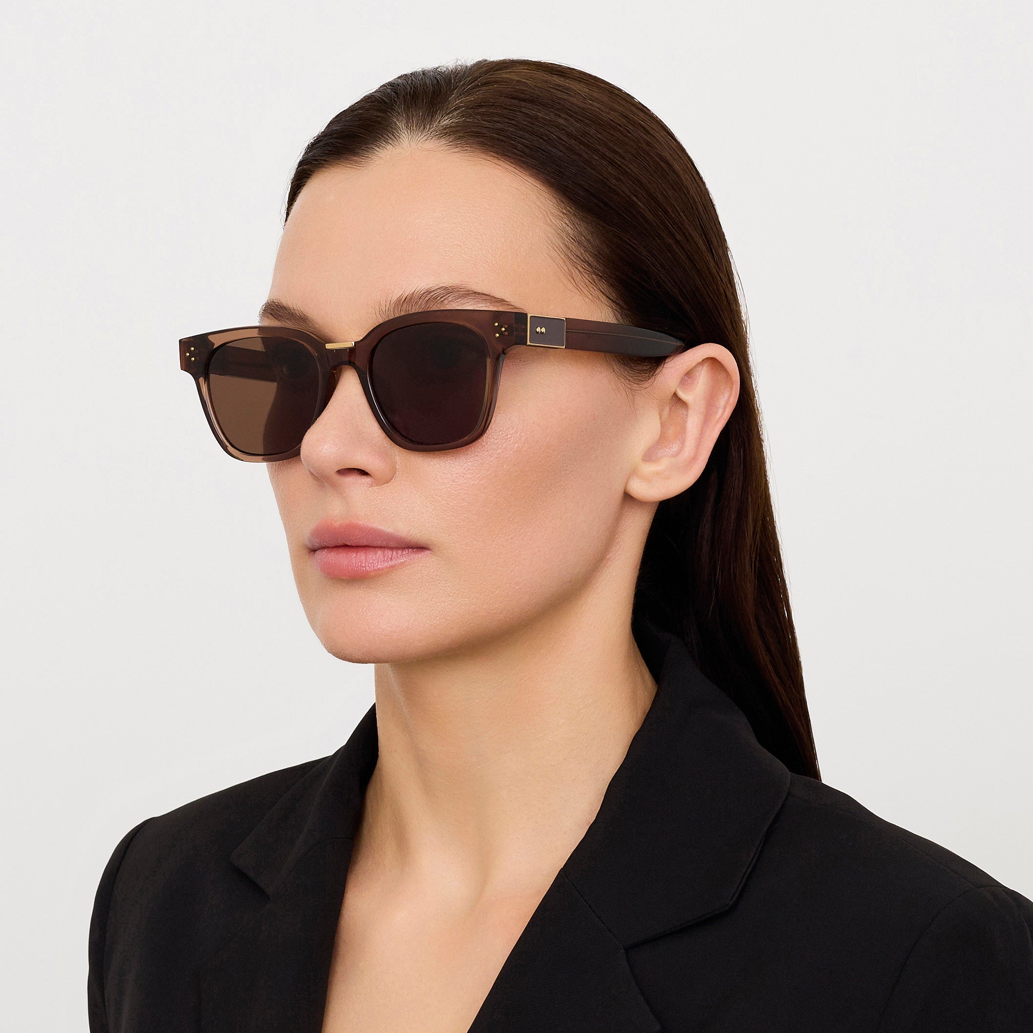 Sanchez Sunglasses in 22K Gold and Brown - LINDA FARROW - Sunglasses - 